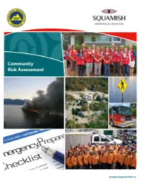 Community Risk Assessment Report, 2015