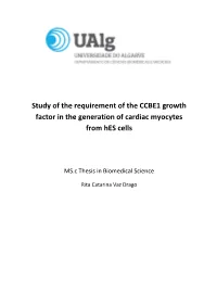 Study of the Requirement of the CCBE1 Growth Factor in the Generation of Cardiac Myocytes from Hes Cells