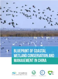Blueprint of Coastal Wetland Conservation and Management in China