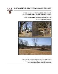 Brookfield Reconnaissance Report