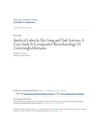 Enslaved Labor in the Gang and Task Systems: a Case Study in Comparative Bioarchaeology of Commingled Remains