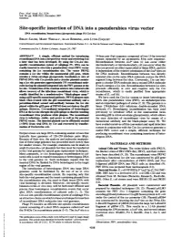 Site-Specific Insertion of DNA Into a Pseudorabies Virus Vector