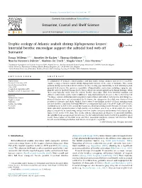 Trophic Ecology of Atlantic Seabob Shrimp Xiphopenaeus Kroyeri: Intertidal Benthic Microalgae Support the Subtidal Food Web Off Suriname