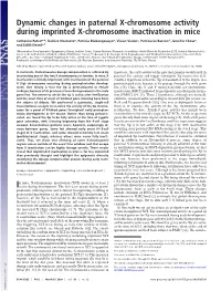 Dynamic Changes in Paternal X-Chromosome Activity During Imprinted X-Chromosome Inactivation in Mice