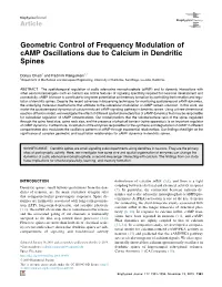 Geometric Control of Frequency Modulation of Camp Oscillations Due to Calcium in Dendritic Spines
