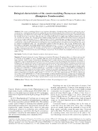 Biological Characteristics of the Cassava Mealybug Phenacoccus Manihoti (Hemiptera: Pseudococcidae)