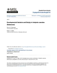 Developmental Variation and Distyly in Hedyotis Caerulea (Rubiaceae)