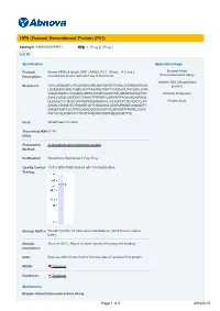 HPN (Human) Recombinant Protein (P01)