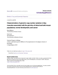Characterization of Genomic Copy Number Variation in Mus Musculus Associated with the Germline of Inbred and Wild Mouse Populations, Normal Development, and Cancer