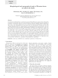 Morphological and Topographical Study of Wormian Bones in Cadaver Dry Skulls