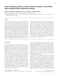 Leptin Stimulates Pituitary Prolactin Release Through an Extracellular Signal-Regulated Kinase-Dependent Pathway