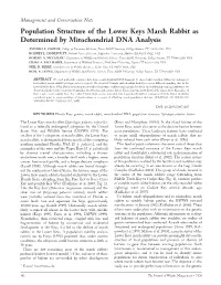 Population Structure of the Lower Keys Marsh Rabbit As Determined by Mitochondrial DNA Analysis