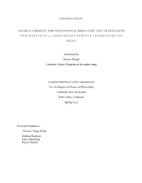 Dissertation Characterizing the Diffusional Behavior