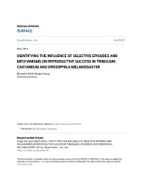 Identifying the Influence of Selective Episodes and Mechanisms on Reproductive Success in Tribolium Castaneum and Drosophila Melanogaster