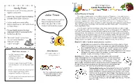 Joke Time the Origin of Candy Has Been Traced Back to Ancient Egypt Where Fruits and Nuts Were Pounds of Chocolate Each Year