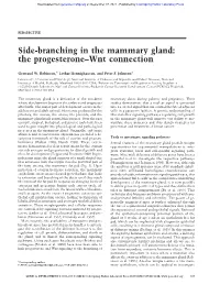Side-Branching in the Mammary Gland: the Progesterone–Wnt Connection