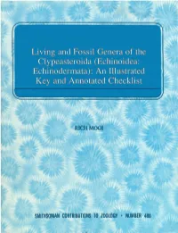 Echinoidea: Echinodermata): an Illustrated Key and Annotated Checklist