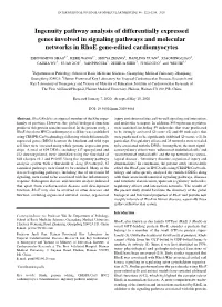 Ingenuity Pathway Analysis of Differentially Expressed Genes Involved in Signaling Pathways and Molecular Networks in Rhoe Gene‑Edited Cardiomyocytes