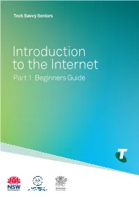 Introduction to the Internet Part 1 Beginners Guide TOPIC INTRODUCTION the INTERNET - PART 1