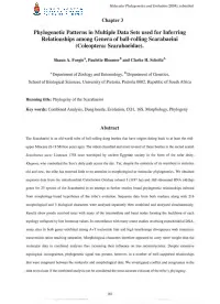 Phylogenetic Patterns in Multiple Data Sets Used for Inferring Relationships Among Genera of Ball-Rolling Scarabaeini (Coleoptera: Scarabaeidae)