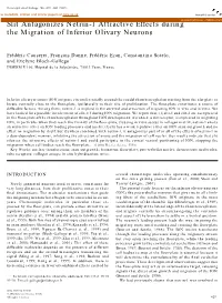 Slit Antagonizes Netrin-1 Attractive Effects During the Migration of Inferior Olivary Neurons