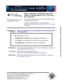 SOS1, ARHGEF1, and DOCK2 Rho-Gefs Mediate JAK-Dependent LFA-1 Activation by Chemokines