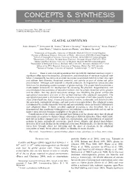 Concepts & Synthesis