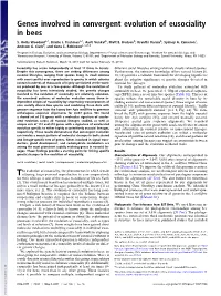 Genes Involved in Convergent Evolution of Eusociality in Bees
