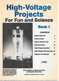 High-Voltage Projects for Fun and Science