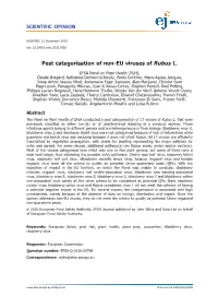 Pest Categorisation of Non-EU Viruses of Rubus L