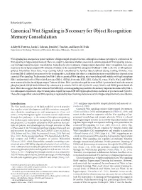 Canonical Wnt Signaling Is Necessary for Object Recognition Memory Consolidation