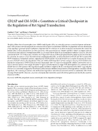 CD2AP and Cbl-3/Cbl-C Constitute a Critical Checkpoint in the Regulation of Ret Signal Transduction