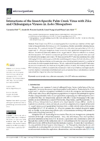 Interactions of the Insect-Specific Palm Creek Virus with Zika And