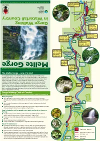 Mellte Coc Leaflet
