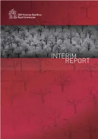 Report Interim