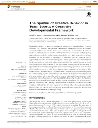 The Spawns of Creative Behavior in Team Sports: a Creativity Developmental Framework