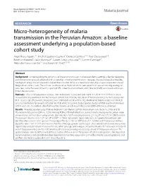 Micro-Heterogeneity of Malaria Transmission in the Peruvian Amazon
