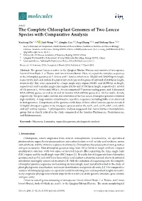 The Complete Chloroplast Genomes of Two Lancea Species with Comparative Analysis