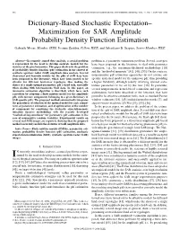 Dictionary-Based Stochastic Expectation– Maximization for SAR