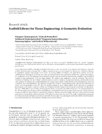 Scaffold Library for Tissue Engineering: a Geometric Evaluation