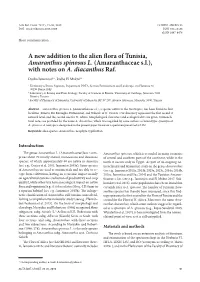 A New Addition to the Alien Flora of Tunisia, Amaranthus Spinosus L. (Amaranthaceae S.L.), with Notes on A