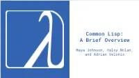 Common Lisp: a Brief Overview