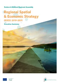 EMRA RSES Executive Summary