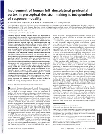 Involvement of Human Left Dorsolateral Prefrontal Cortex in Perceptual Decision Making Is Independent of Response Modality