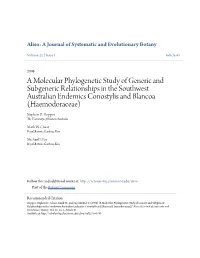 A Molecular Phylogenetic Study of Generic and Subgeneric Relationships in the Southwest Australian Endemics Conostylis and Blancoa (Haemodoraceae) Stephen D