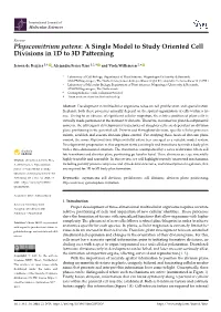Physcomitrium Patens: a Single Model to Study Oriented Cell Divisions in 1D to 3D Patterning
