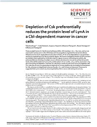 Depletion of Csk Preferentially Reduces the Protein Level of Lyna In
