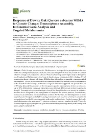 Response of Downy Oak (Quercus Pubescens Willd.) to Climate Change: Transcriptome Assembly, Differential Gene Analysis and Targe