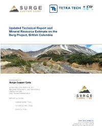 Updated Technical Report and Mineral Resource Estimate on the Berg Project, British Columbia