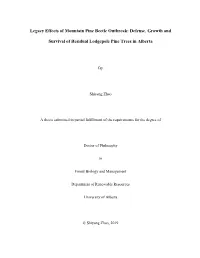 Legacy Effects of Mountain Pine Beetle Outbreak: Defense, Growth And